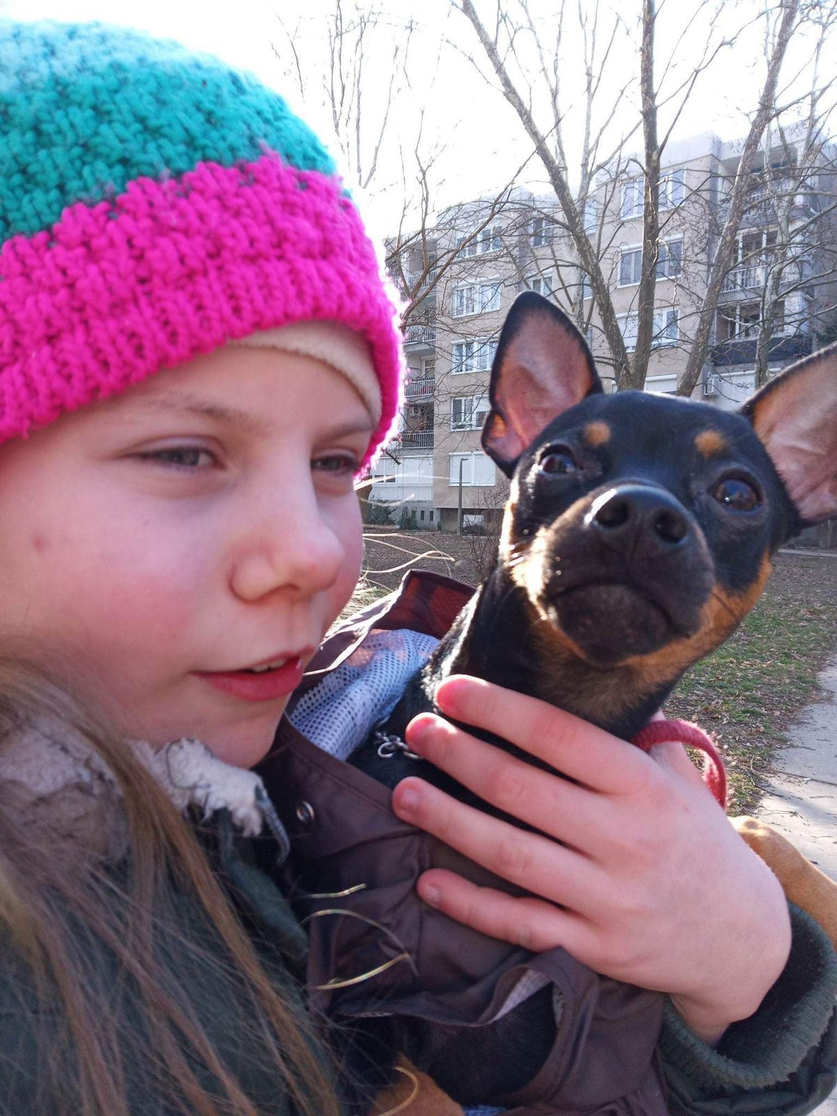 Az eltűnt lányt Győrben találták meg, a kutyája azonban továbbra sincs meg