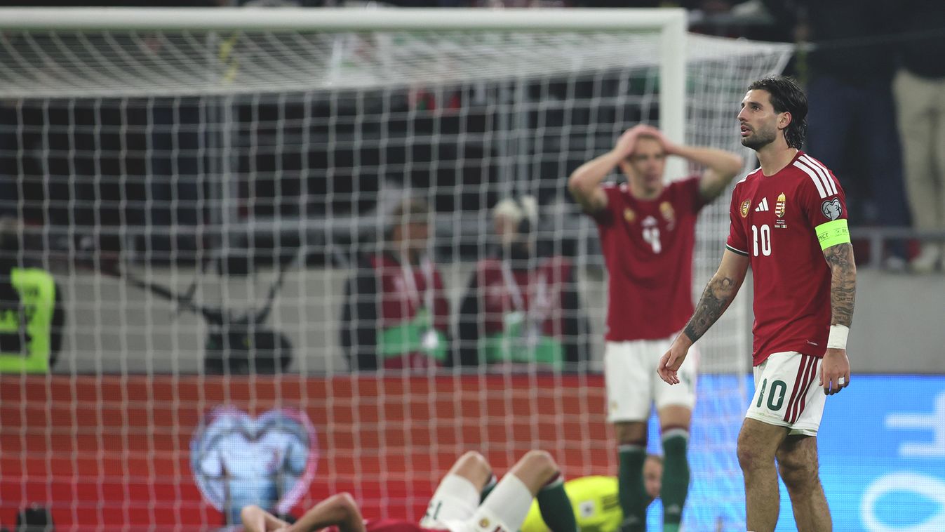 Cikk kép: undefined