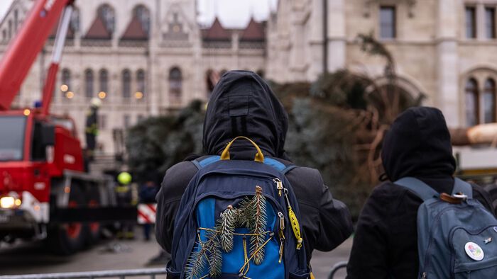 Budapest, 2025. november 24. Az ország karácsonyfája megérkezik az Országház előtti Kossuth térre 2025. november 24-én. A 31 felajánlás közül az Országgyűlés Hivatala az ibrányi, hozzávetőleg 23 méter magas 40 esztendős ezüstfenyőt talált a legszebbnek. 