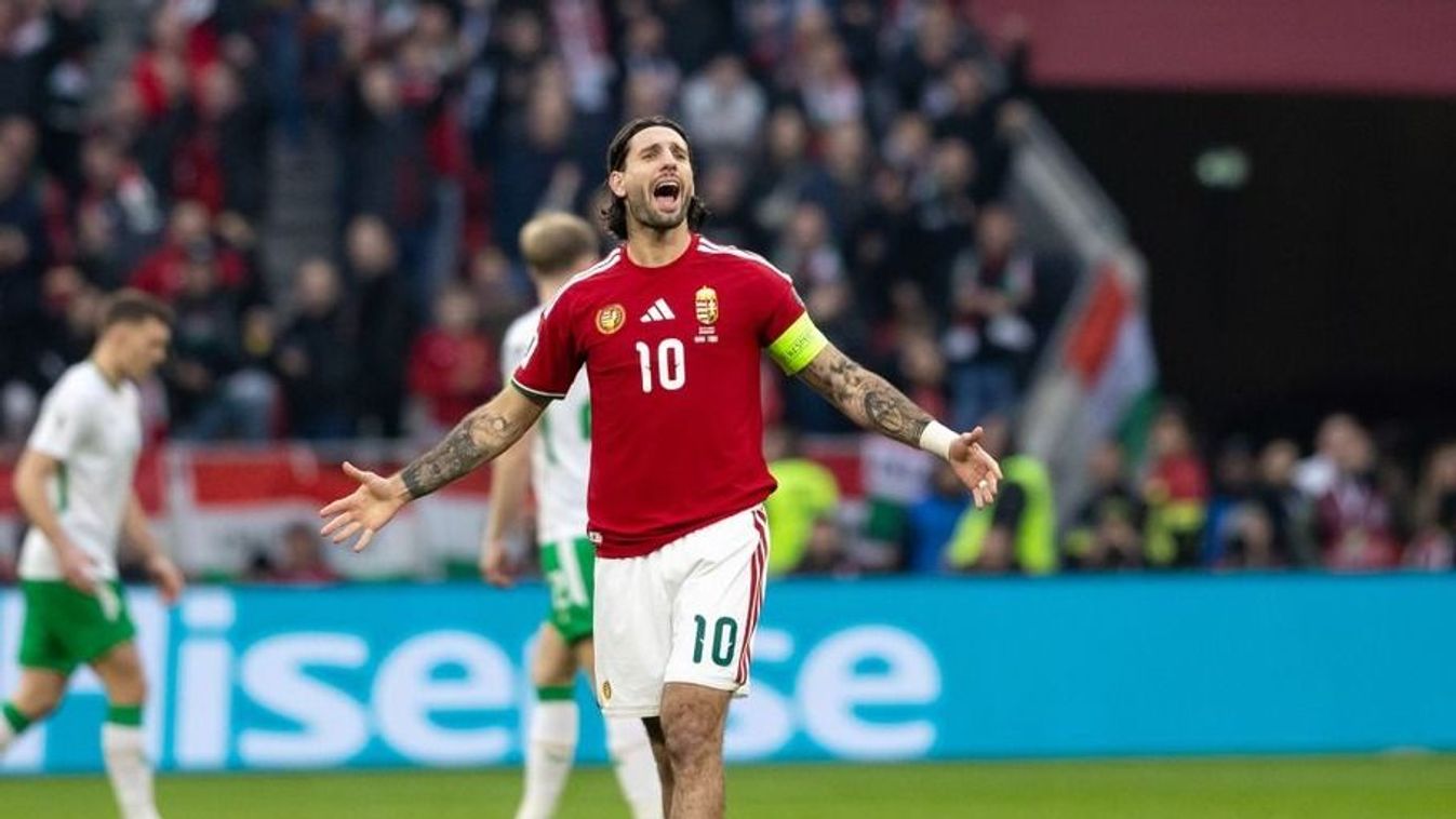 Cikk kép: undefined