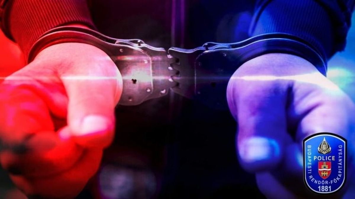 Elfogták a rendőrök a férfit, aki a Teleki téren késelte meg az élettársát