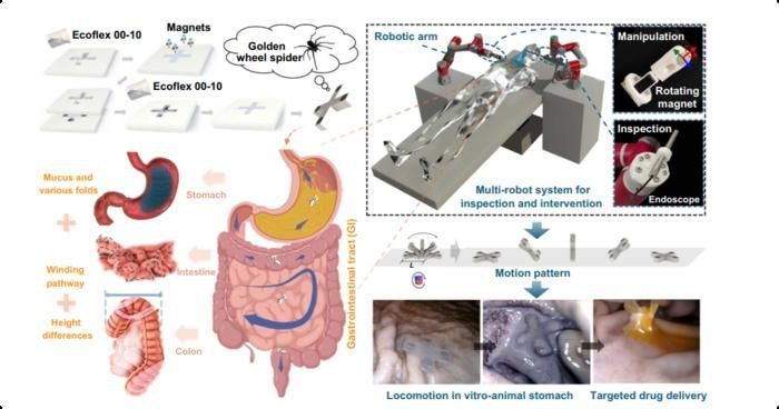 robot emésztőrendszer