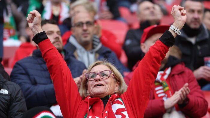 Magyarország - Írország
magyar válogatott mérkőzés