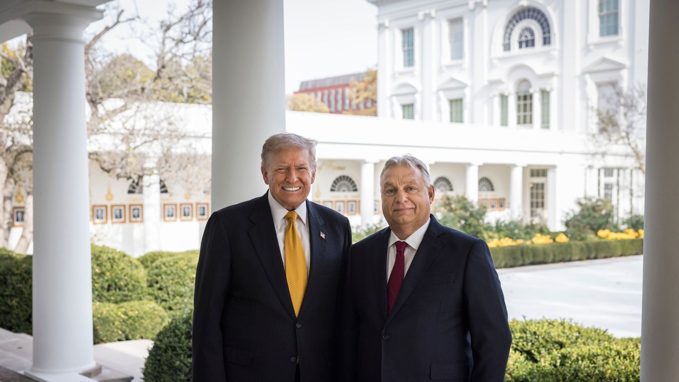 Cikk kép: undefined