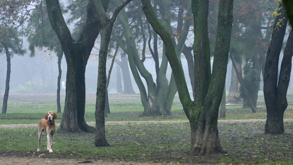 Elázni nem fog, de jobb, ha nem fűz nagy reményeket a hétvégi időjáráshoz