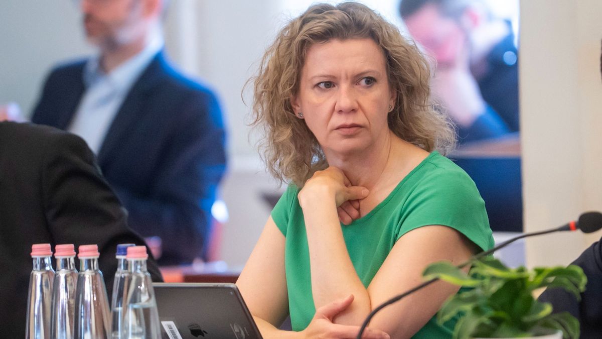 Kollár Kinga szemrebbenés nélkül hazudott a tiszás applikációról + videó