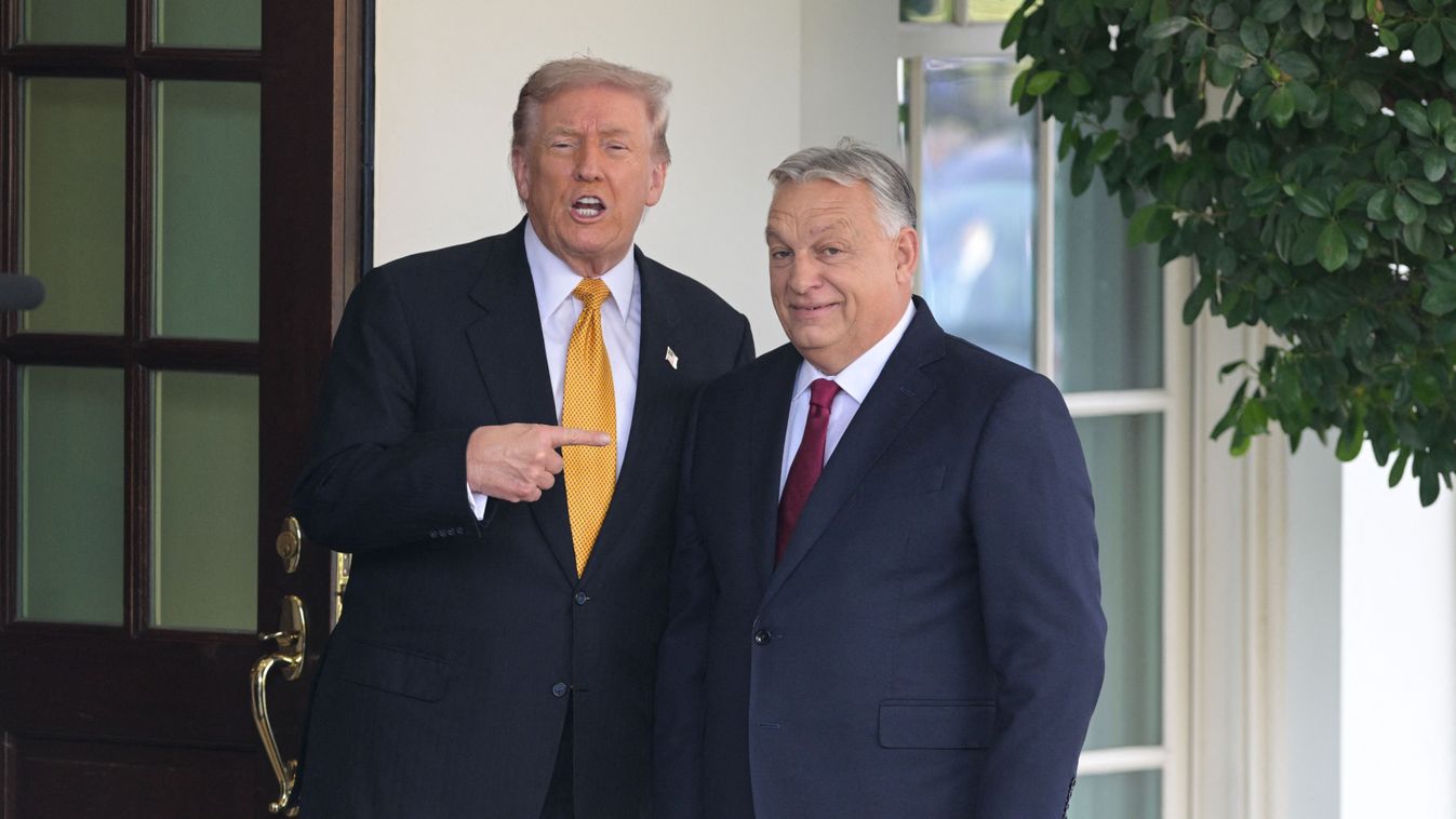 Cikk kép: undefined