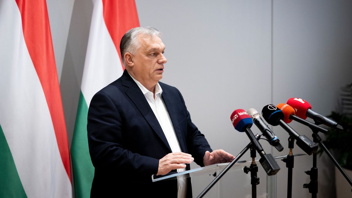 Szalay-Bobrovniczky Kristóf: Csak ez a kormány tudja a magyarokat kint tartani a háborúból + videó