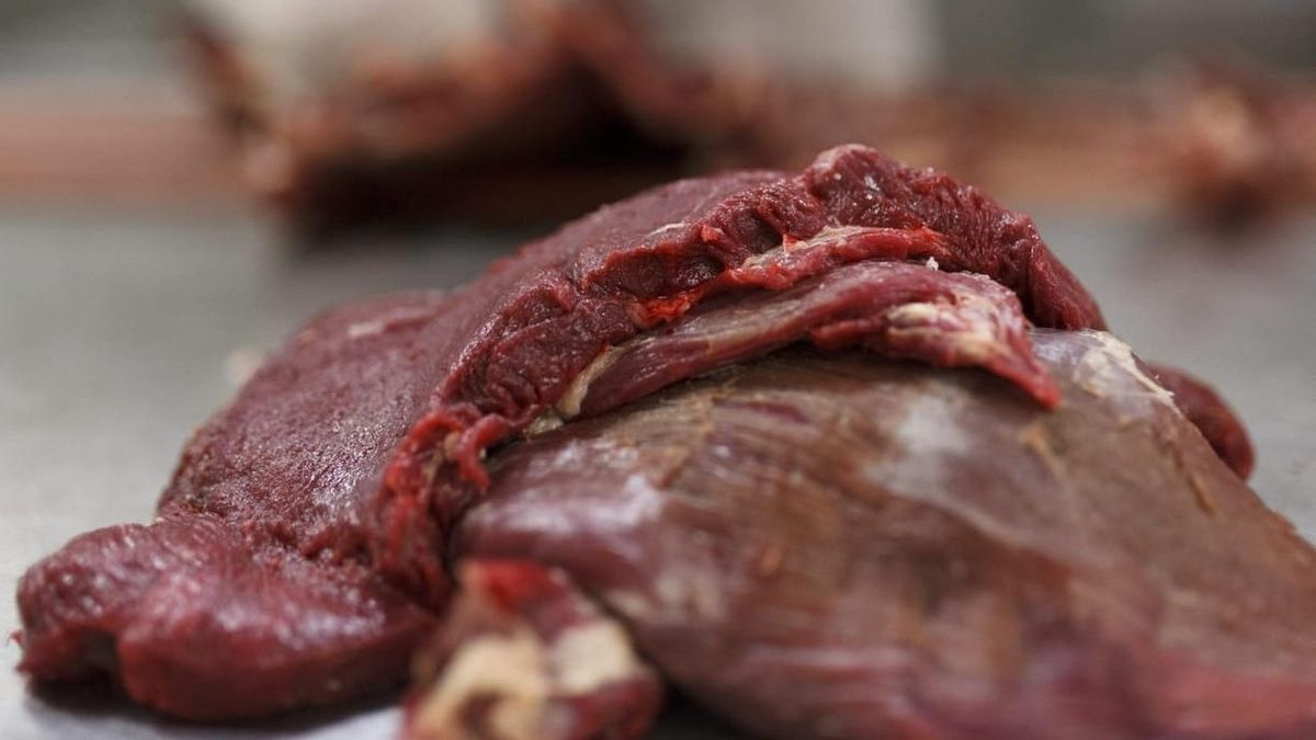 Azonnal felfüggesztették egy szabolcsi vadfeldolgozó működését