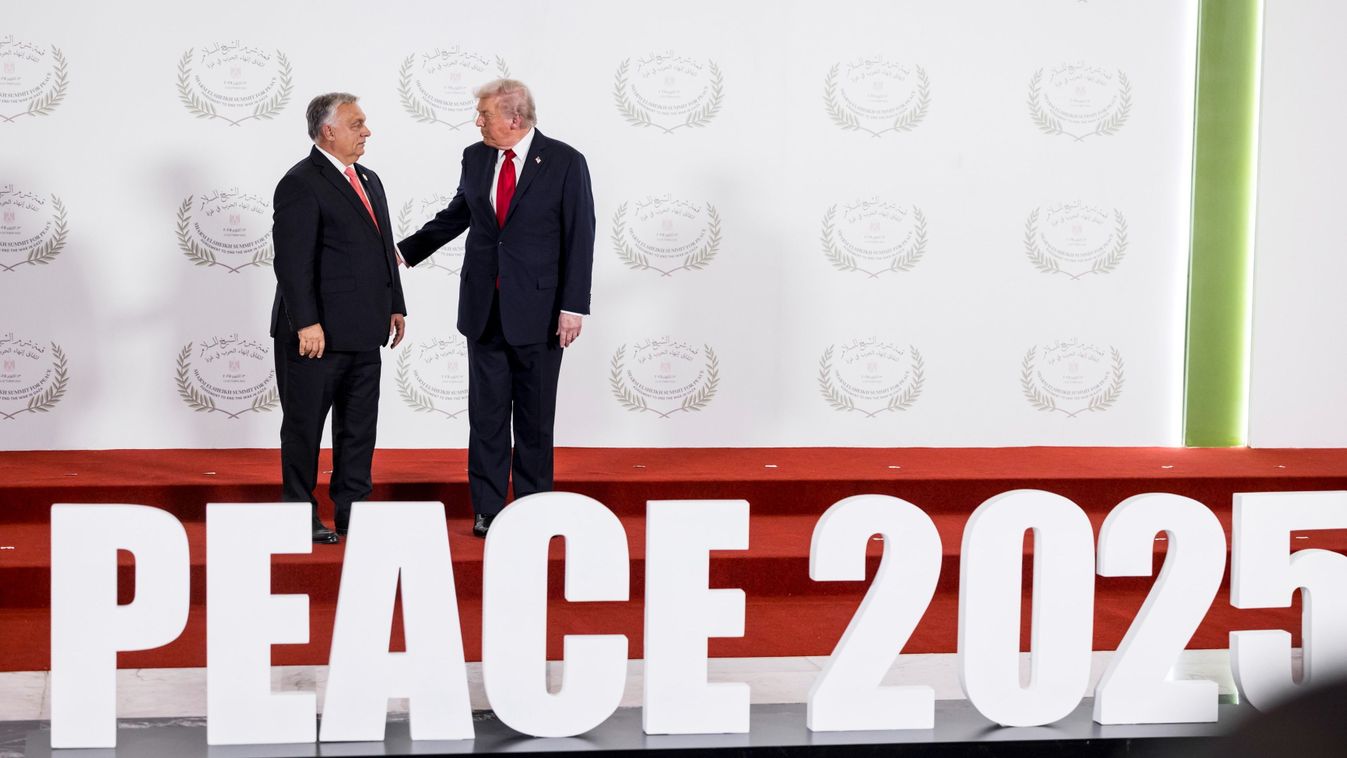 Cikk kép: undefined