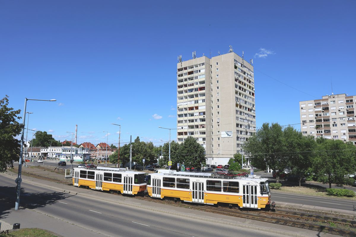 20250722 Budapest 
Óbuda, Bécsi úti lakótelep
Fotó: Tumbász Hédi (TUM)
MW Bulvár