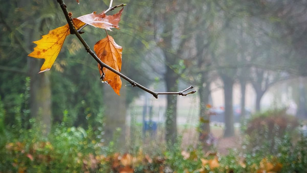 Bundára nincs szükség, ma ismét csütörtököt mond a tél + videó