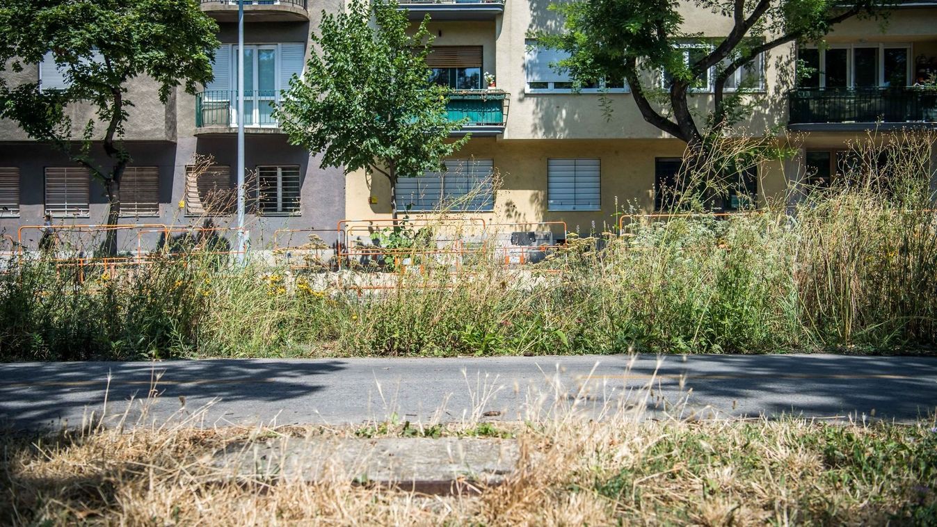 Borítókép: Illusztráció (Forrás: Facebook)