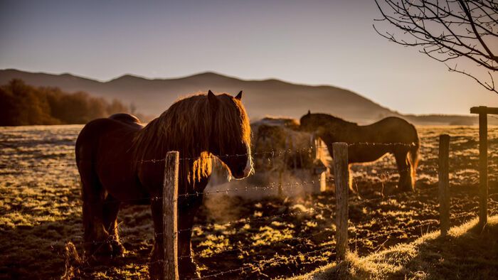 Csudai Sándor fotói