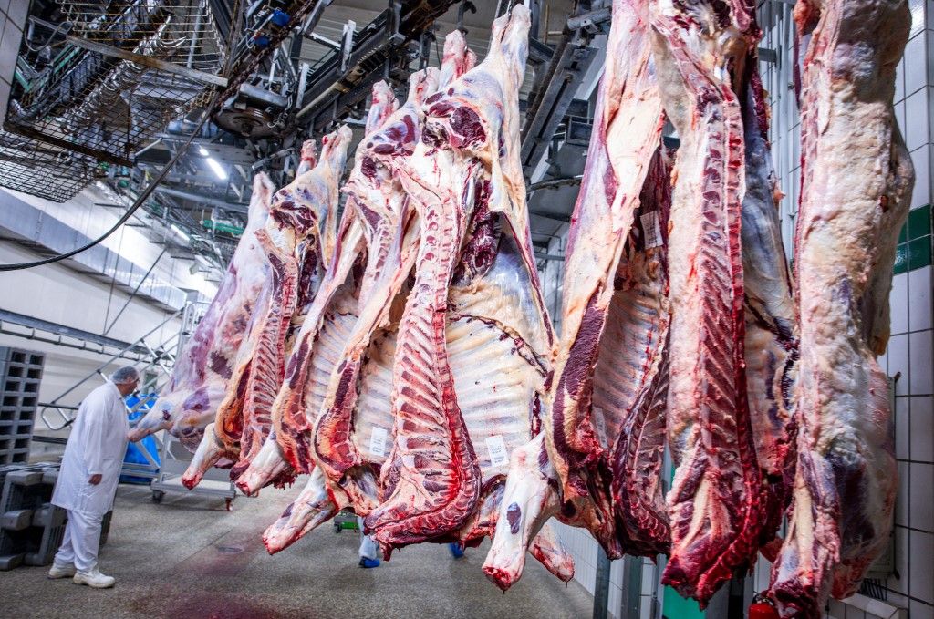 31 July 2024, Mecklenburg-Western Pomerania, Teterow: Employees cut up sides of beef at the Danish Crown Teterower Fleisch slaughterhouse. Danish Crown is modernizing its facilities and investing in automation technology. Photo: Jens Büttner/dpa (Photo by JENS BUTTNER / dpa Picture-Alliance via AFP) marhahús