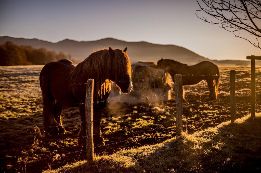 Csudai Sándor fotói