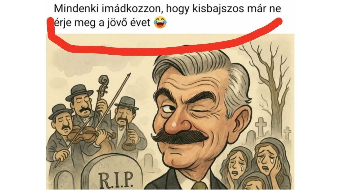 Cikk kép: undefined