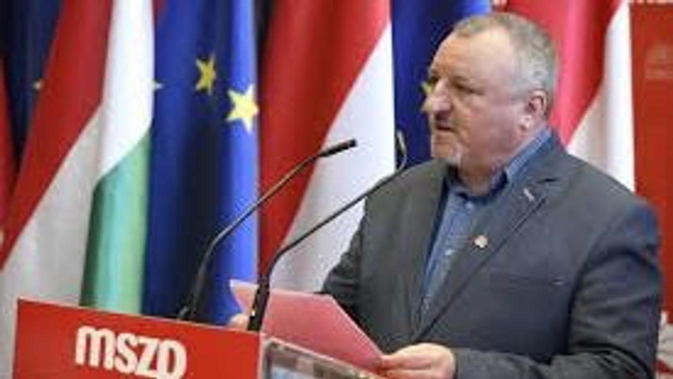 Cikk kép: undefined