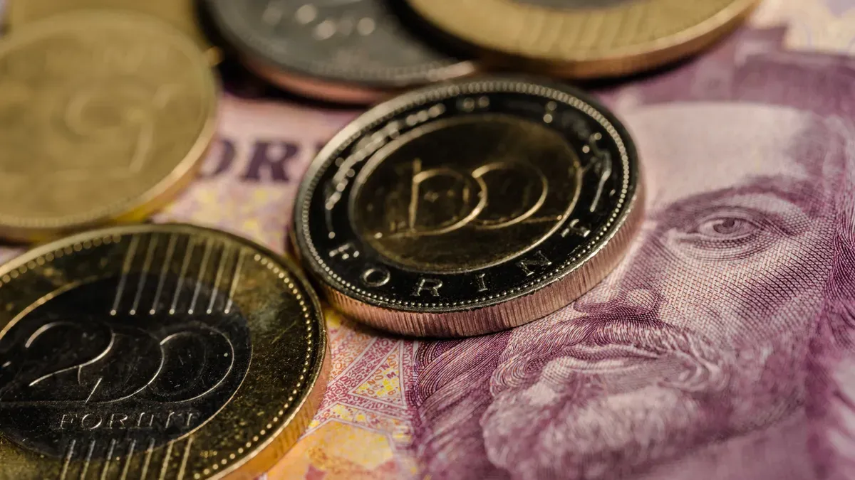 Komoly adócsalás ügyébe keveredtek olimpikonok úgy, hogy nem is tudtak róla