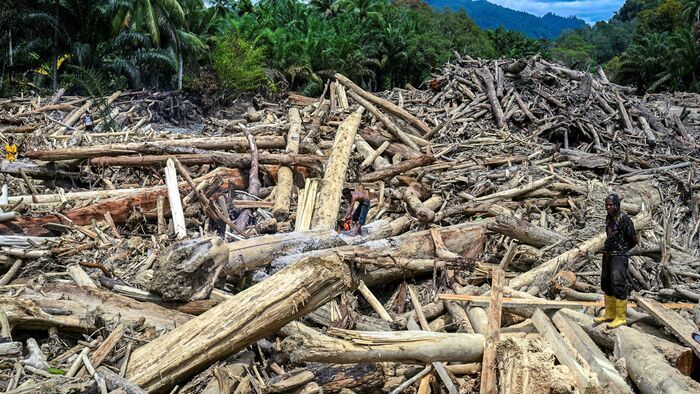 Hirtelen jött árvíz által elmosott farönkök Észak-Szumátrában
