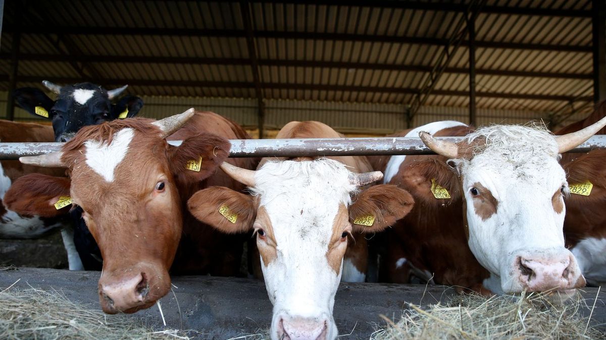 Jön az újabb támogatás, amely erősíti a jövedelembiztonságot