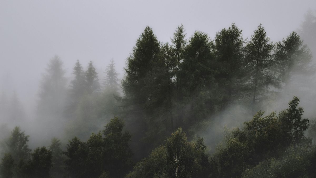 Eljött az év legrövidebb napja, és ez az időjáráson is meglátszik + videó