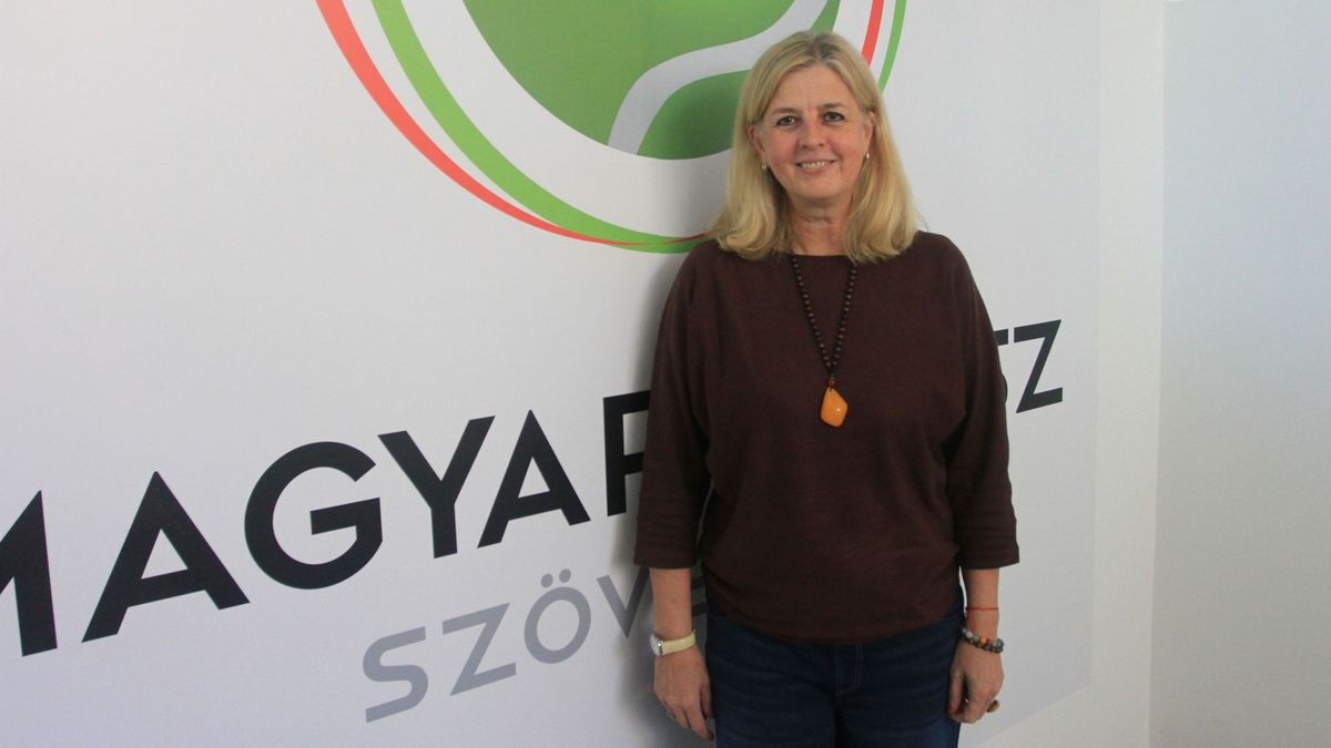 Mi a magyar tenisz jelenlegi legnagyobb kihívása? A főtitkár válaszolt