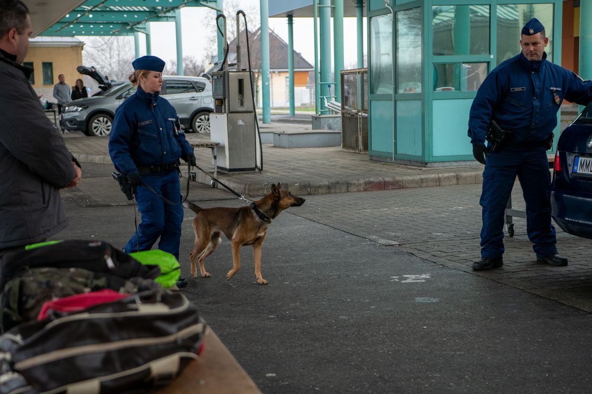 Röszke, 2025. december 4.
Az ORFK Kommunikációs Szolgálat által közreadott képen a határforgalom ellenőrzésében bevetett kábítószer-kereső szolgálati kutya bemutatója a röszkei határátkelőhelyen 2025. december 4-én. A határátkelőn ezen a napon Horváth László, a kábítószer-kereskedelem felszámolásáért felelős kormánybiztos tartott sajtótájékoztatót a kábítószer elleni küzdelem érdekében 2025 márciusában indult DELTA Program harmadik negyedévének eredményeiről.
MTI/ORFK