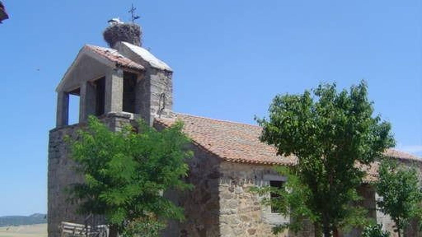 Cikk kép: undefined