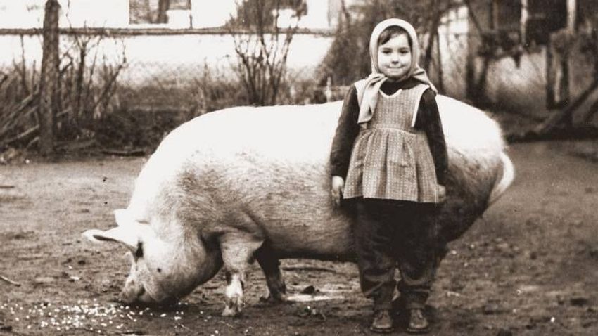 Kvíz kérdést ábrázoló kép.