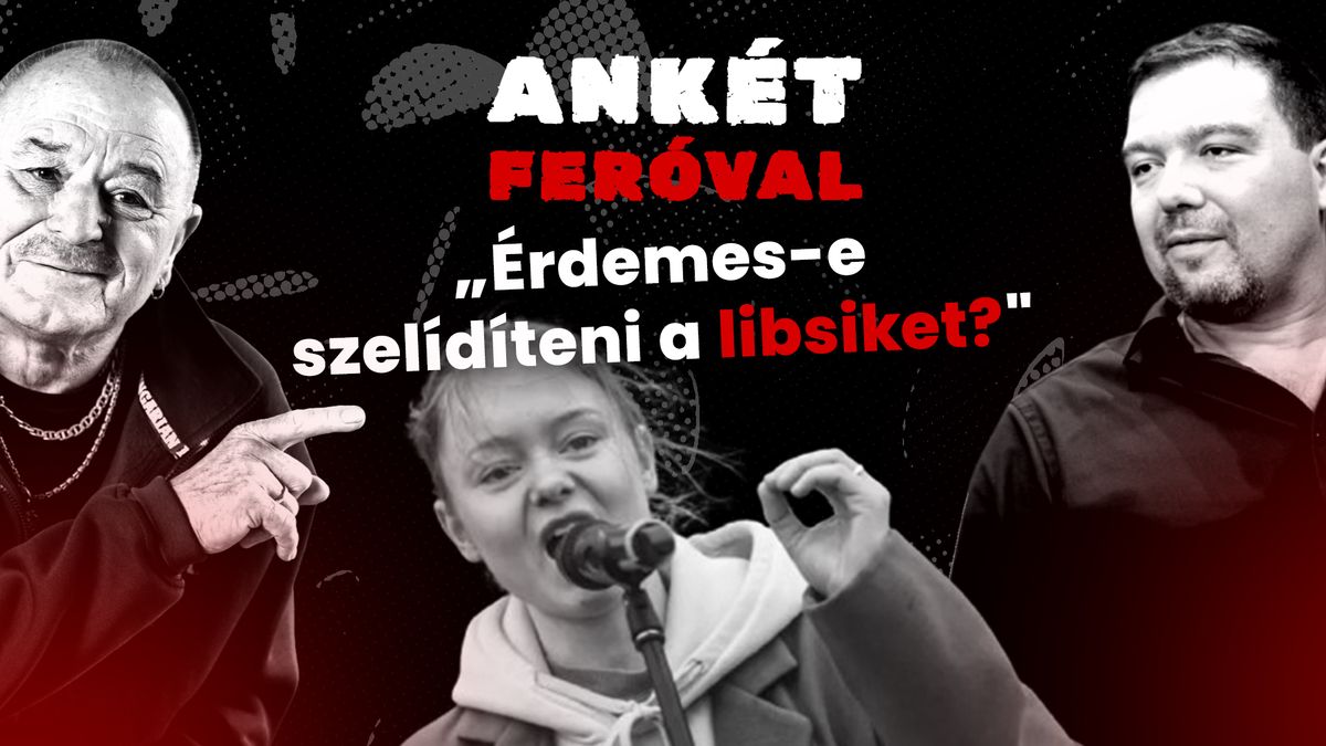 Ankét Feróval- Mi az, amit még nem sejtünk? +videó