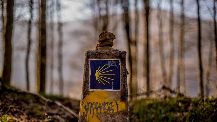 Csudai Sándor fotói