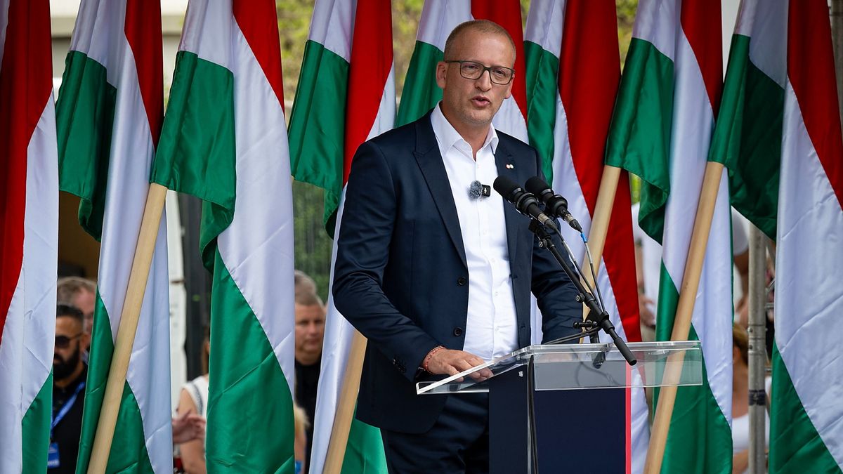 Magyar Péter alelnöke még egy karácsonyi rendezvényből is tudott botrányt csinálni