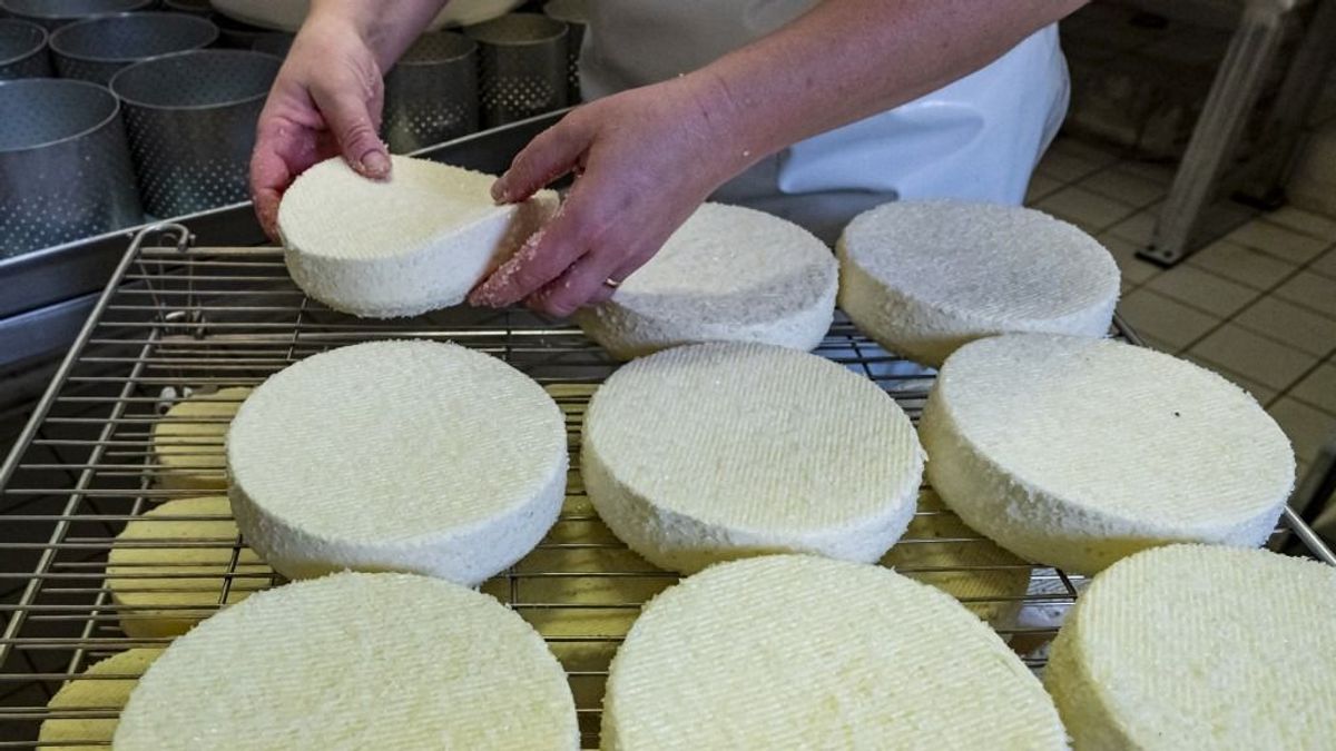 Így lehetnek sikeresek az élelmiszeripari pályázatok