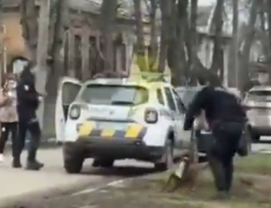 Egy pitbull mentette meg gazdáját a kényszersorozástól