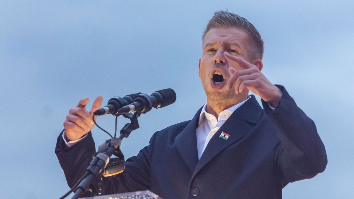 Magyar Péter, Puzsér Róbert