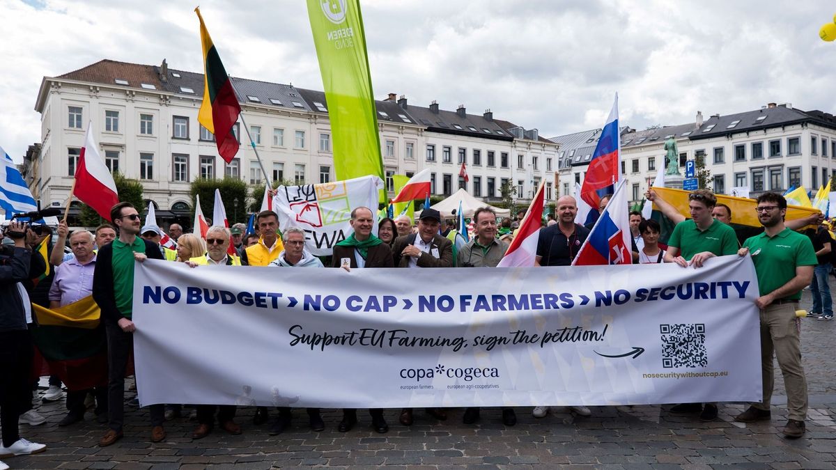 gazdatüntetés Brüsszel