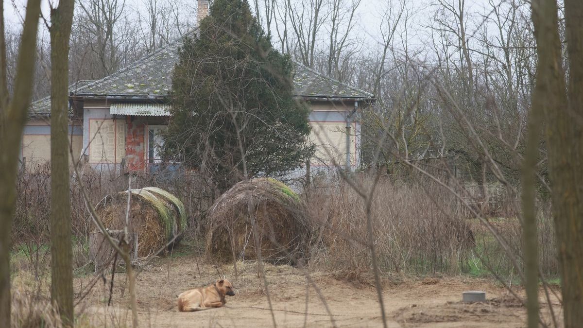 A TEK kommandósai fogtak el egy orvvadászt