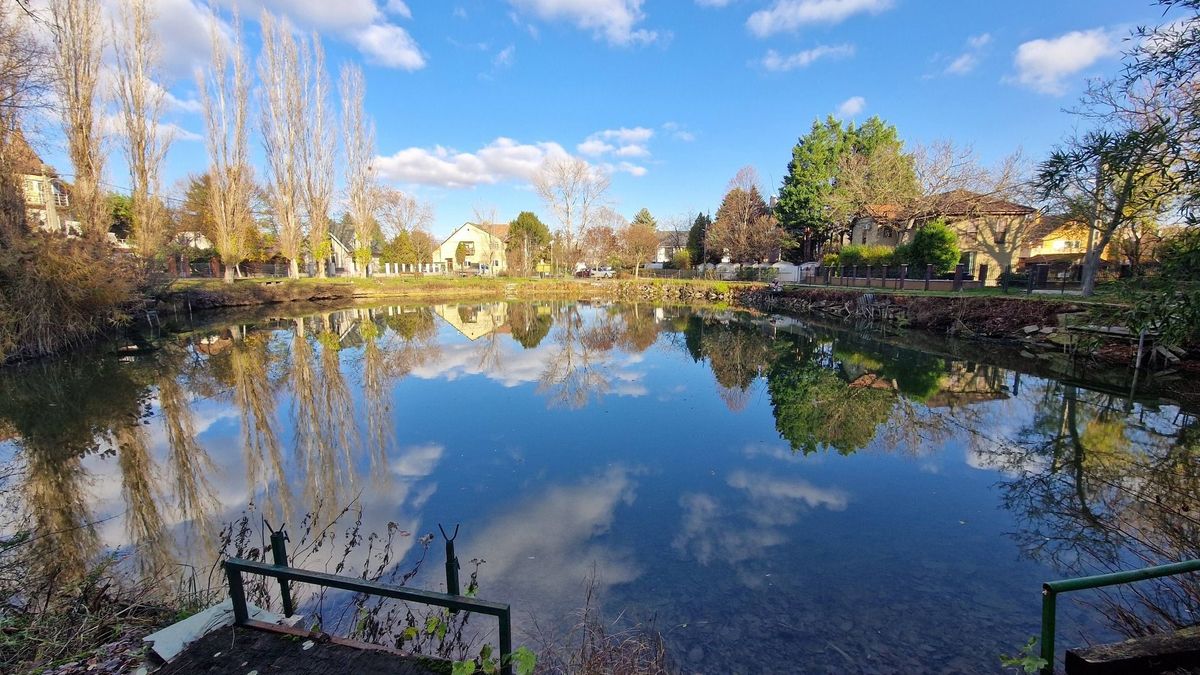Balos tempó a fővárosban: a haverok egyhavi lakbérből egy évre bérelhetnek tavat a budapesti kerületben Kép