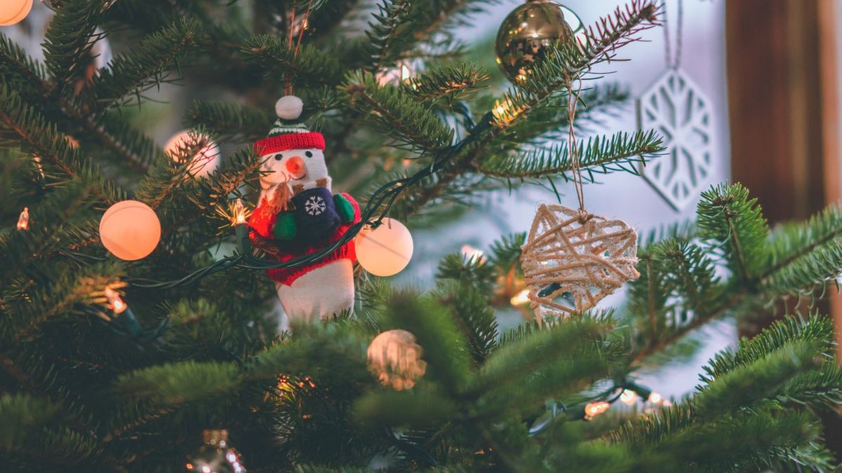 Ha óvni akarja az erdőket, akkor ilyen fenyőt ne vegyen! Még az emberi szervezetet is károsítja