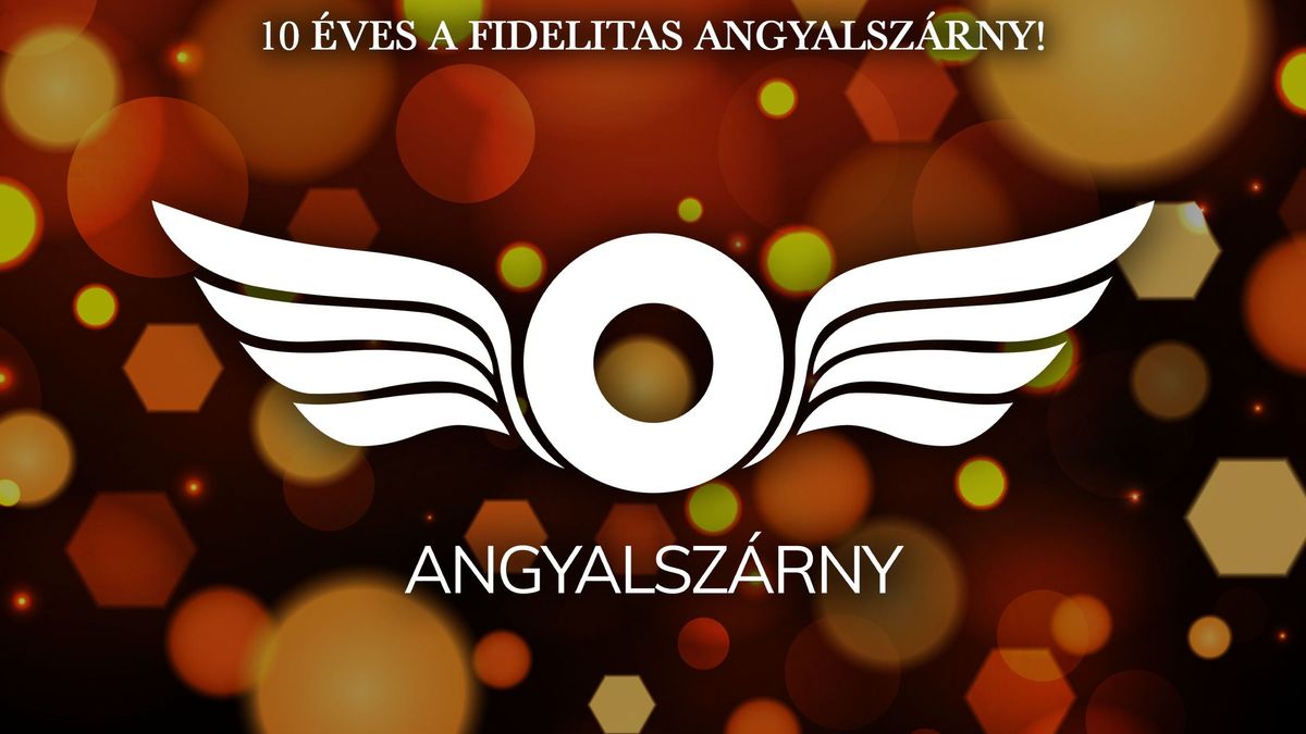 „A segítséget oda visszük, ahol a legnagyobb szükség van rá” – Kárpátalján segít a Fidelitas Angyalszárny