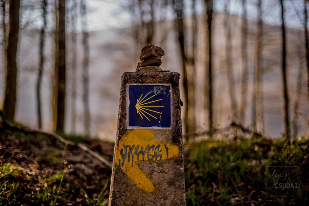 Csudai Sándor fotói