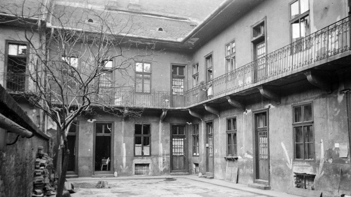 Árva, de mindannyiunké – József Attiláról, akit kiterítettek úgyis