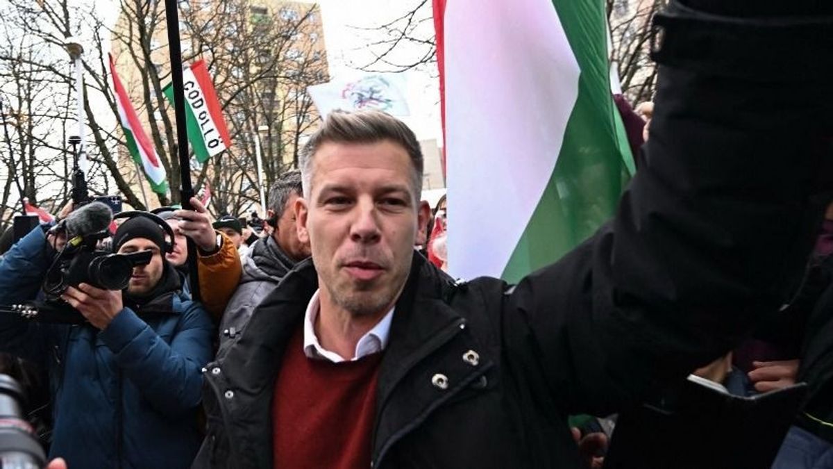 Magyar Péter egy iráni nevelő ellen uszított, az államtitkár tisztázta, mi történt a fóti gyermekotthonban