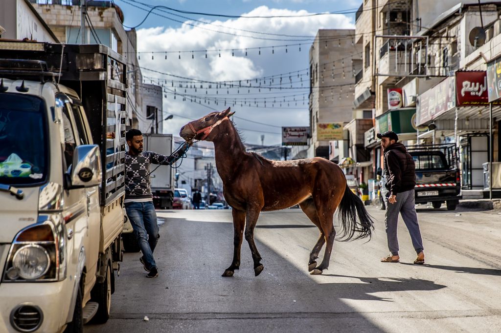 Csudai Sándor fotói