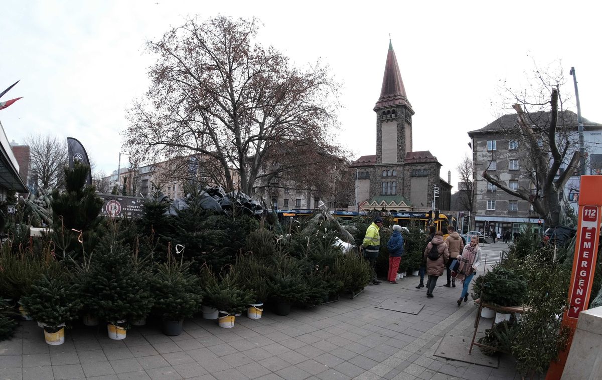 Budapest, 2021. december 18.
Fenyőfavásár Újbudán a karácsonyi ünnepek előtt a Fehérvári úti Vásárcsarnok mellett. A háttérben a Kelenföldi Református Templom az Október huszonharmadika utcán.
MTVA/Bizományosi: Nagy Zoltán
***************************
Kedves Felhasználó!
Ez a fotó nem a Duna Médiaszolgáltató Zrt./MTI által készített és kiadott fényképfelvétel, így harmadik személy által támasztott bárminemű – különösen szerzői jogi, szomszédos jogi és személyiségi jogi – igényért a fotó szerzője/jogutódja közvetlenül maga áll helyt, az MTVA felelőssége e körben kizárt.
