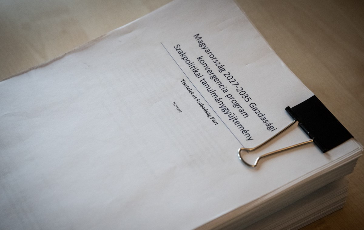 egészségügy-privatizációs terv