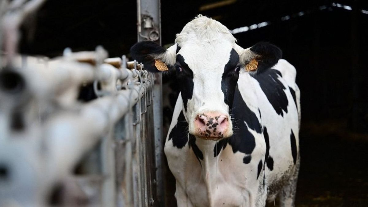 Iskolatejet minden gyereknek, könnyebb szerződéskötést az iskoláknak!