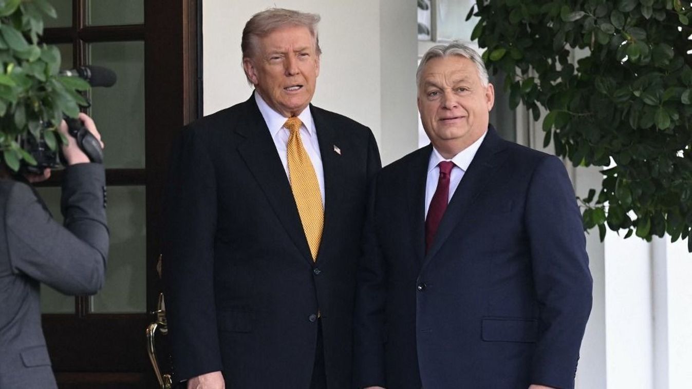 Cikk kép: undefined