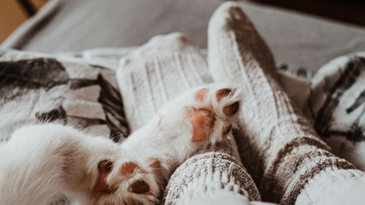 Január csendje – miért feszít bennünket az év eleje?